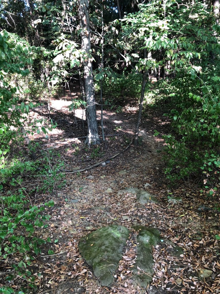 Brooks-Hummel Trail