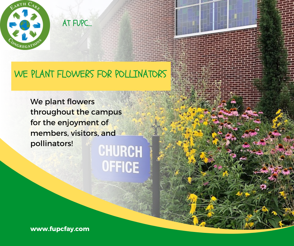 We plant flowers for pollinators