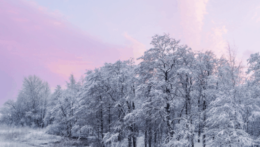 In the Bleak Midwinter